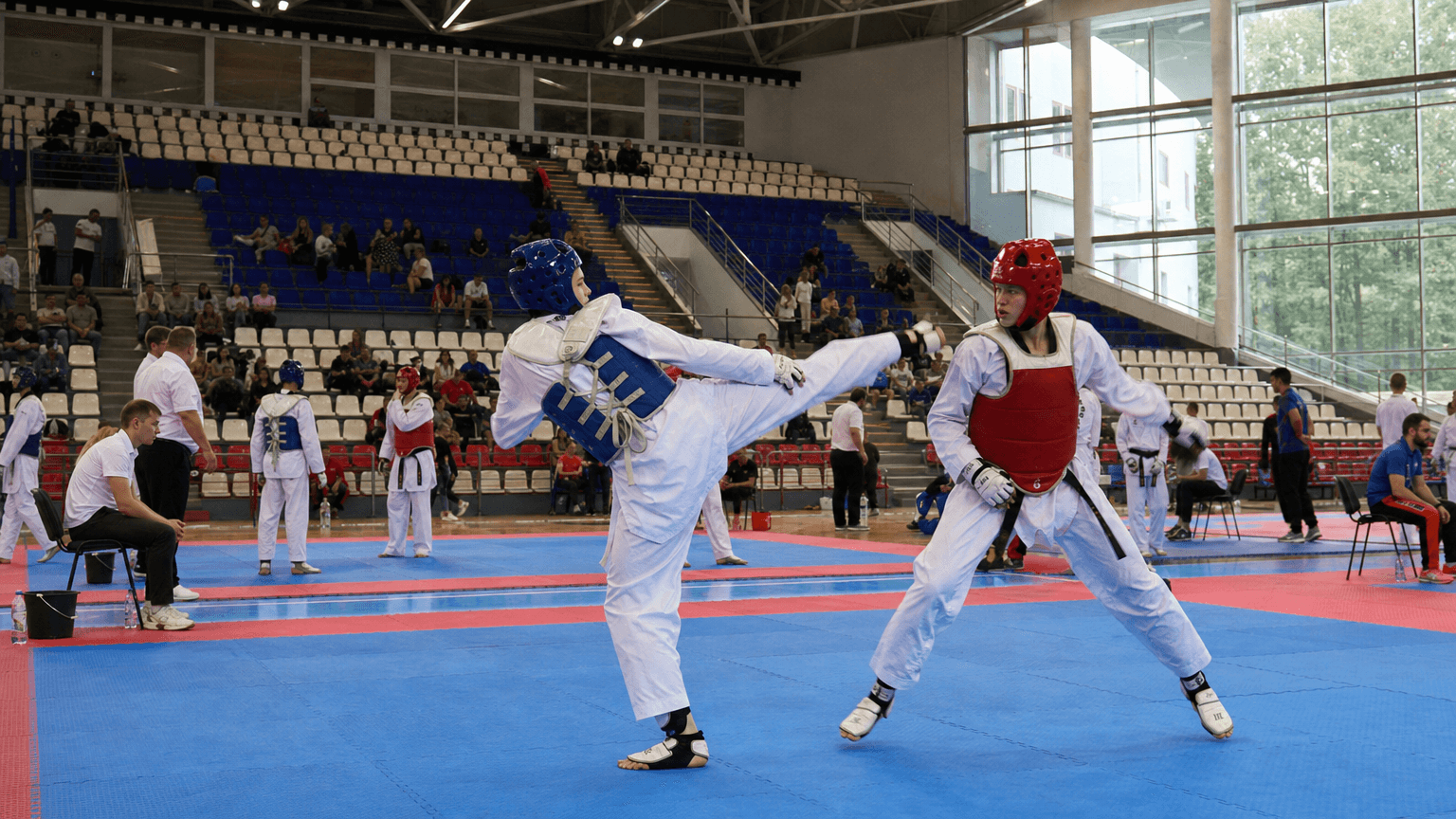 World Taekwondo разрешила снова проводить международные турниры в России